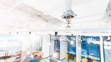 Commercial Plumbing Insight: Fire Sprinkler Inspection Essentials